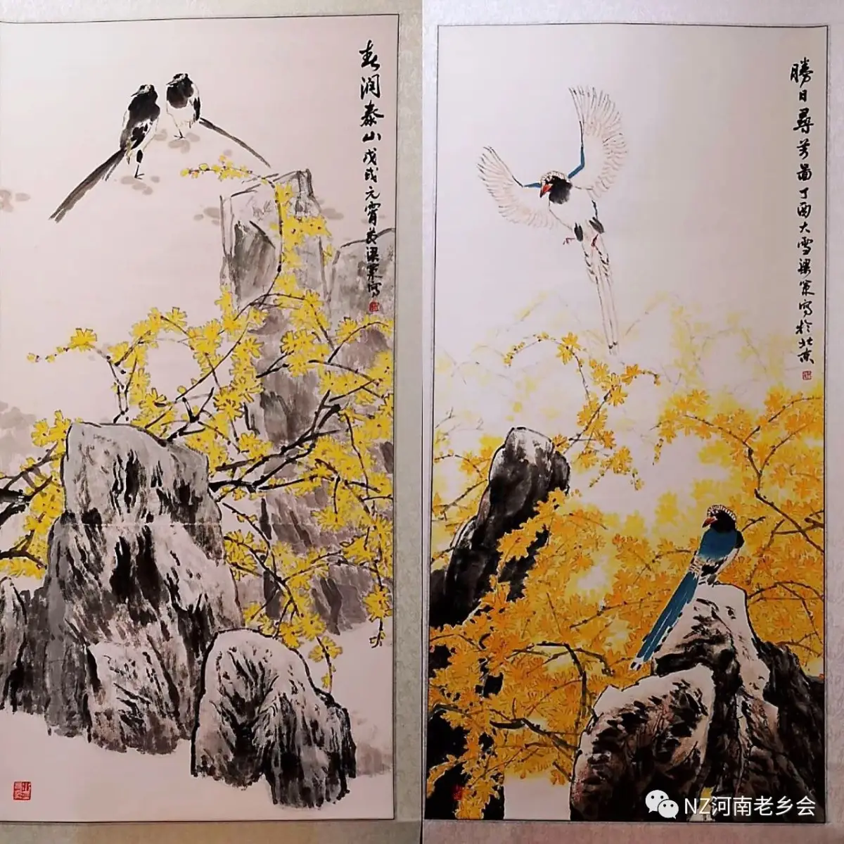 文章配图